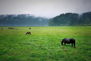 田野想挽回马克,田野为挽回马克拼了！