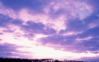 动摇了挽回的决心，决心再次动荡，挽回未来恍如梦幻