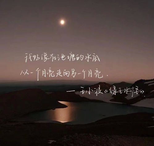 没有希望的挽回,失去爱的回忆，还能否挽回