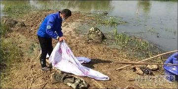 护士挽回溺水儿童,打捞溺水儿童，护士为生命而战