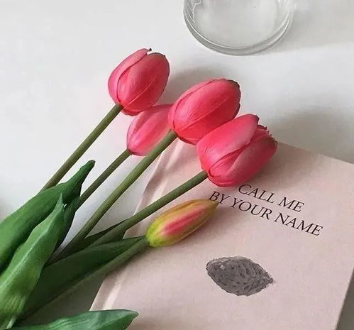 挽回关系情话文案长句,挽回关系的甜言蜜语，温暖心灵的文案