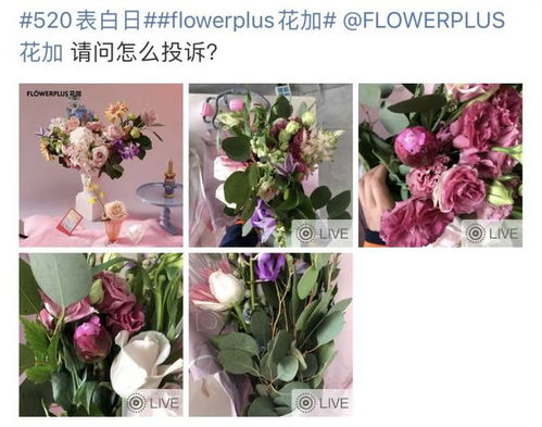 怎么挽回花束的心灵,挽回心情，送上鲜花