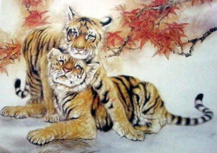 怎样挽回属虎女,属虎女的挽回方法