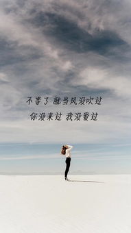 挽回不了的心诗,破裂爱情的救赎