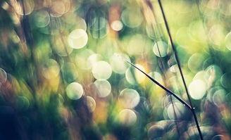 挽回的路上坎坷吗,挽回爱情：充满荆棘的道路