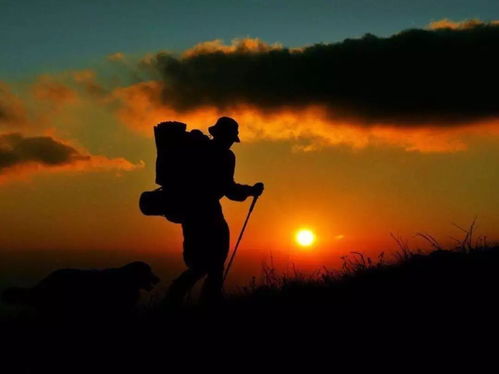 挽回试探和复联,挽回之路：如何成功复联