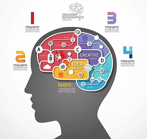 挽回纸老虎最佳方案,如何消除纸老虎？
