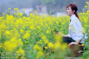 挽回女友方法花田,如何成功挽回前女友