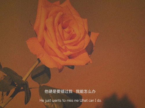 怎么挽回闷骚狮子男,如何挽回闷骚狮子男