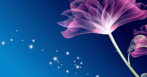 挽回十二星座的方法,十二星座挽回技巧，走向幸福