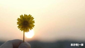 花好情感挽回骗,感情无法挽回，如何痛快放手？