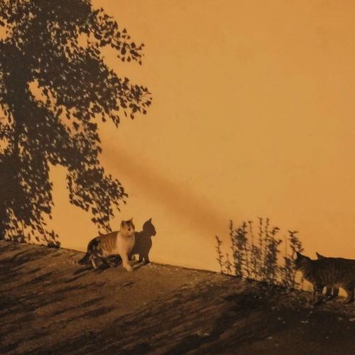 注定分手挽回朋友文案图片，挽回友情，让分手成为过去