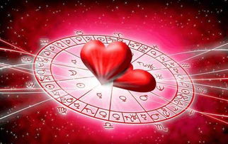 土象星座怎样挽回,怎样挽回土象星座？