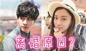 高磊鑫挽回视频,高磊鑫恢复婚姻关系视频