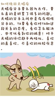 怎么挽回12星座,星座情感怎样才能获得挽回