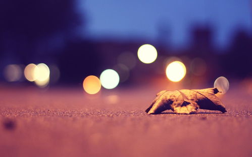 怎样挽回12星座的心，如何让12星座心甘情愿回到你身边