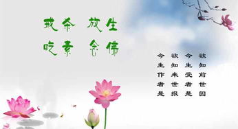 放生什么能把婚姻挽回,放生实践：挽回婚姻的秘密