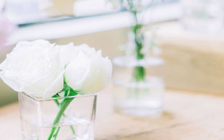 怎样挽回我的他,挽回爱情，拯救关系