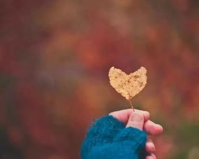 挽回前任的话配图,让前任回心转意，再续前缘