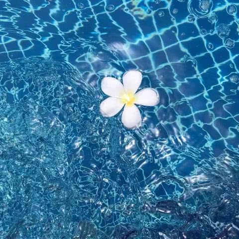 怎样挽回蓝色个性的人,如何恢复失去的蓝色个性