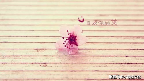 挽回初恋的经典句子,挽回初恋的经典方法汇总