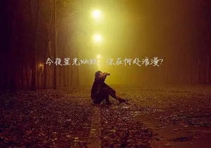 朝花夕拾情感挽回机构,情感挽回机构：记忆拾起，美好重现