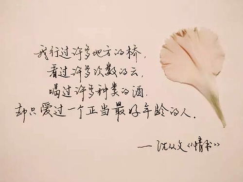 希望挽回感情的情书,挽回感情的真诚情书