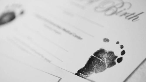 过去的不可挽回,无法挽回的过去，创造新生-重写标题