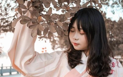 重生女主挽回男主文，新生妻子疯狂爱回旋，再续前缘