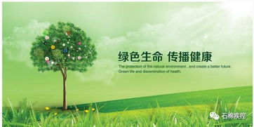 挽回生命的图片,拯救生命：让镜头同情与关注)