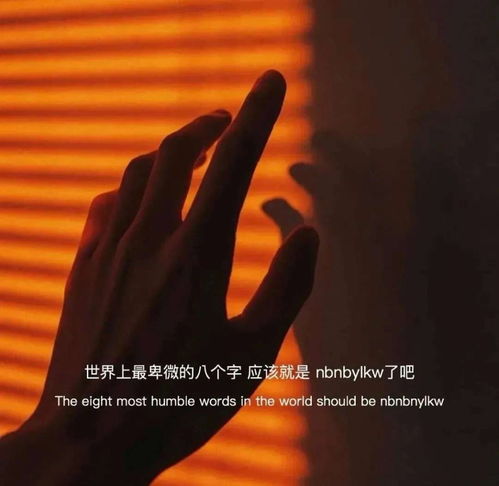 卑微挽回前夫心理,挽回前夫心，从心出发