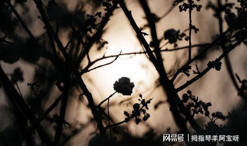 挽回她总是躲避,如何重拾爱情——让她不再躲避