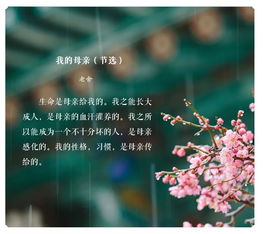 缅怀过去无法挽回,怀念无可奈何的过去