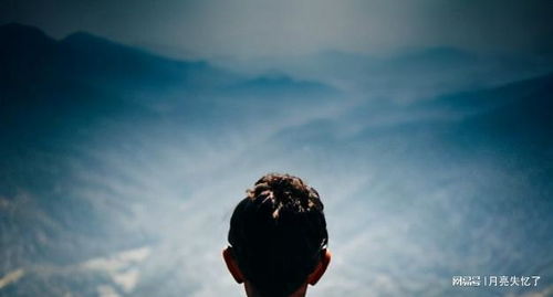 被迫分手挽回的概率,分手后的挽回几率)