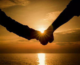 立挽爱感情挽回,如何挽回感情？重拾爱的火焰！