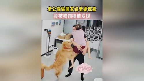 赌狗怎么挽回老婆，如何重新赢回赌徒妻子的心？