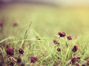 挽回你破碎的心,重新拾起你的心情——挽回破碎的心