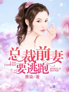 总裁想挽回前妻已有新欢，前妻有新欢，总裁极力赎回