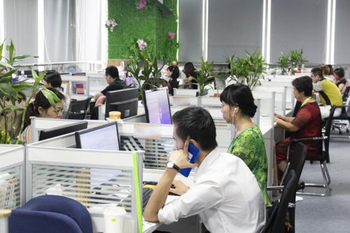 濮阳婚姻挽回专业咨询,濮阳婚姻挽救专业咨询