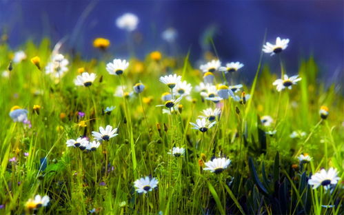 找挽回机构花了7000，如何成功挽回感情？挽回机构7000元教你拯救爱情