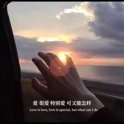 挽回长篇大论,如何有效地挽回感情