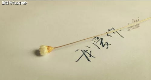 对方背叛了我如何挽回，重获信任：如何挽回背叛我的人？