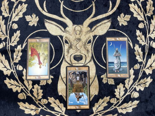 塔罗牌挽回爱人的方法,“塔罗牌拯救你的爱情”