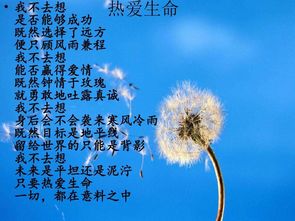 恐惧依恋挽回文案,挽回感情的小技巧：克服恐惧依恋