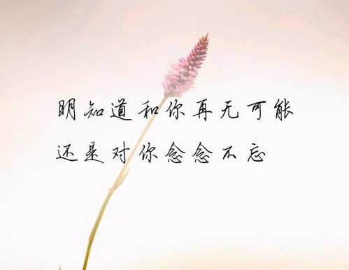 背叛后怎么挽回原谅,如何挽回重建信任关系