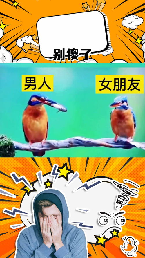 如何挽回小鸟的心理,如何赢回心爱小鸟的心？