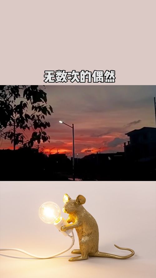 挽回后分析师,挽回成功，重拾爱情