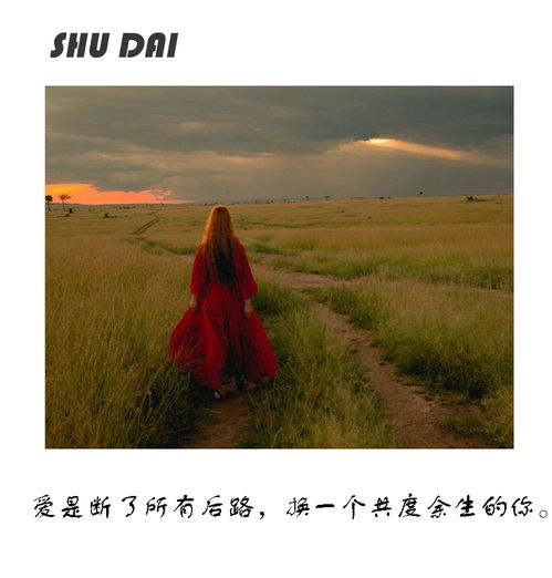 挽回死心的双子,如何挽回双子座的心