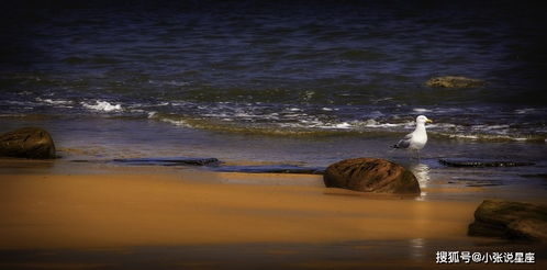 曾经爱过还能挽回吗,挽回曾经的爱情，有可能吗？