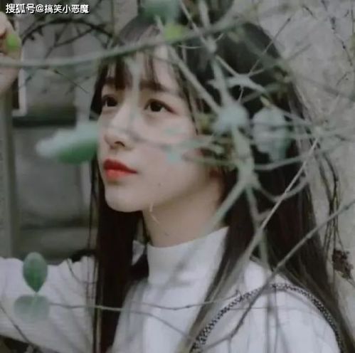 男主后悔开始挽回,男子悔之晚矣，苦心挽回